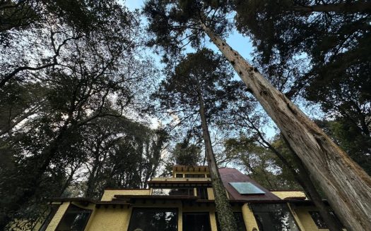 Casa, San Mateo Tlaltenango